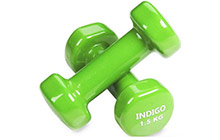 92005ir-sa Гантели виниловые 1,5кг х 2 шт, INDIGO (салатовый)