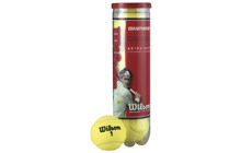 wrt110000 Мячи теннисные Wilson Championship Extra Duty (4 шт. в упак.)
